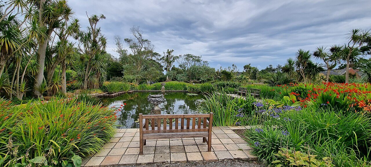 Planting and a bench at Logan Botanic Garden.
