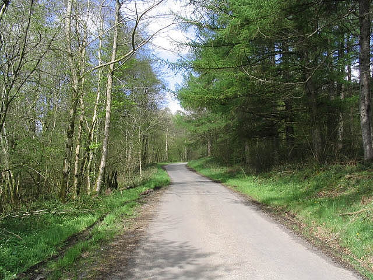 A rural road in Dumfries and Galloway, illustrating a narrow-lane walking environment.