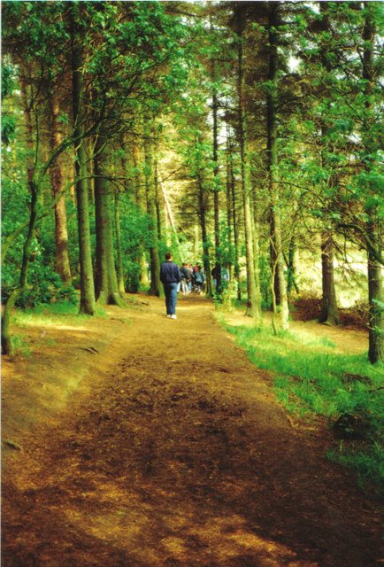 A woodland path at Beecraigs in Scotland, illustrating responsible outdoor access.