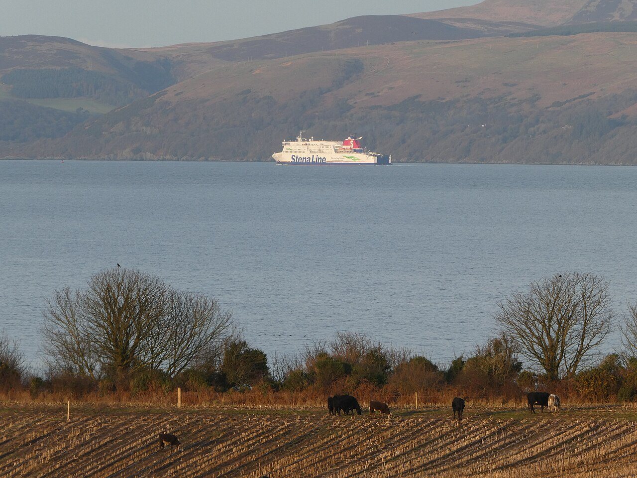 A ferry on Loch Ryan by Cairnryan.