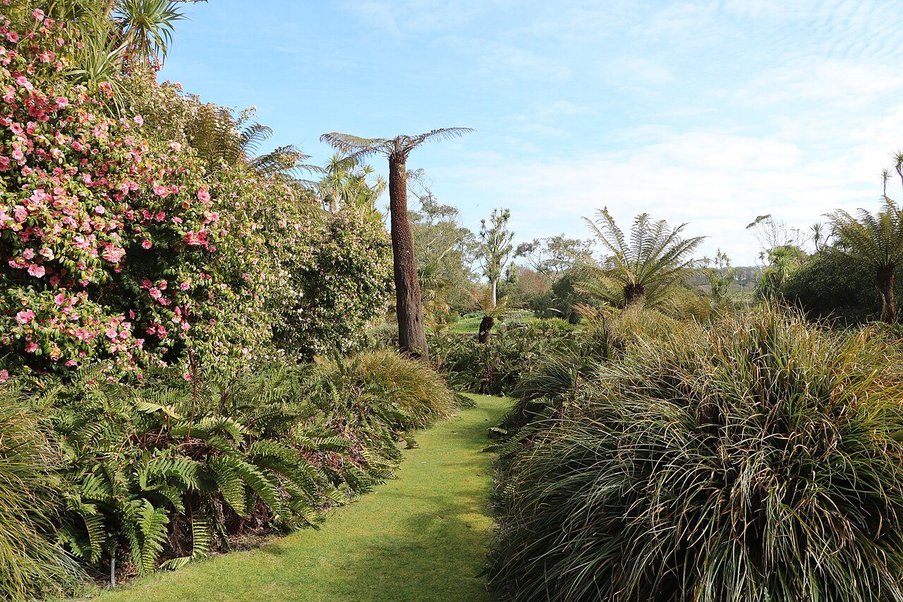 A path in Logan Botanic Garden; this photograph does not establish the current accessibility of a route.